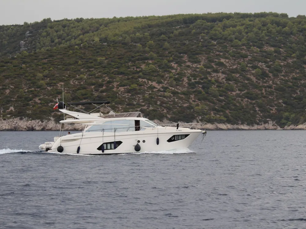 Motor cruiser along a wooded coast