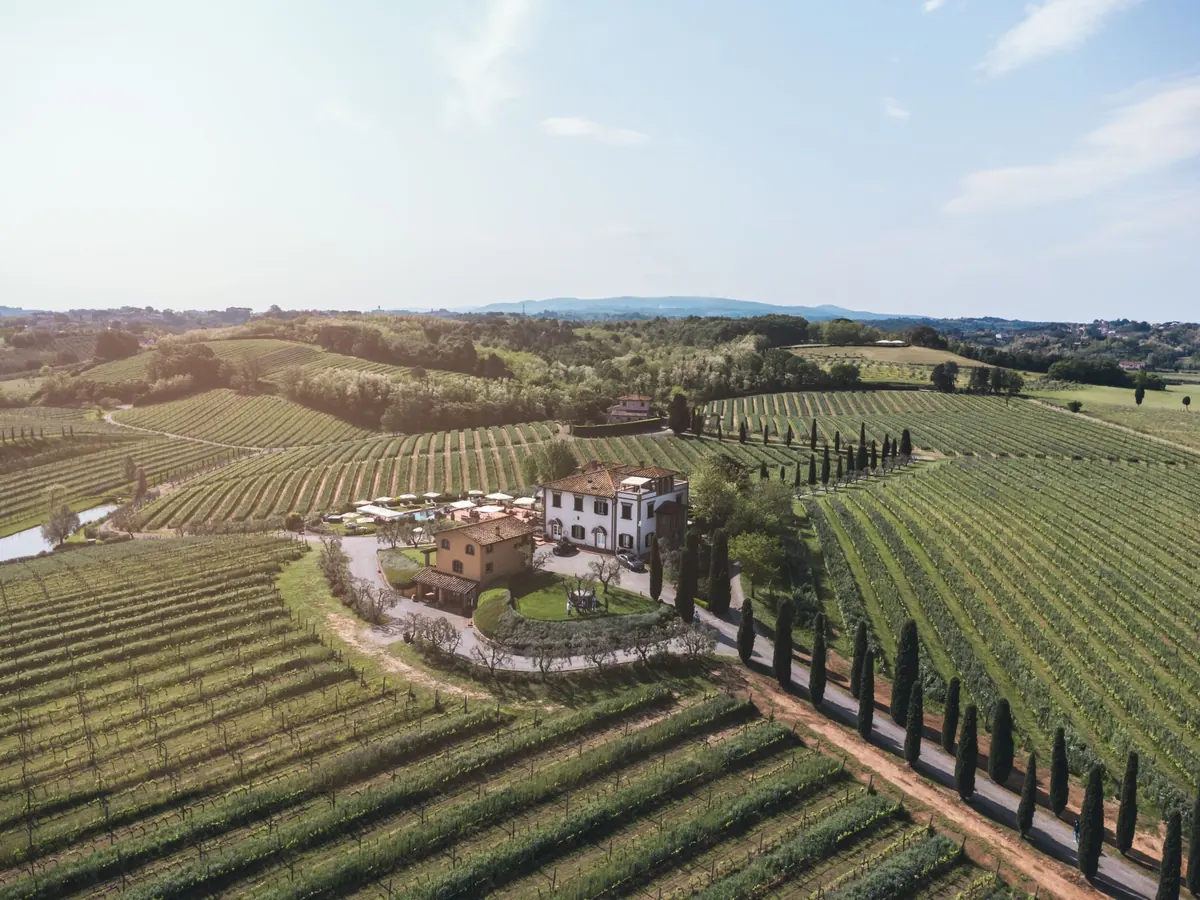 Villa among vineyards