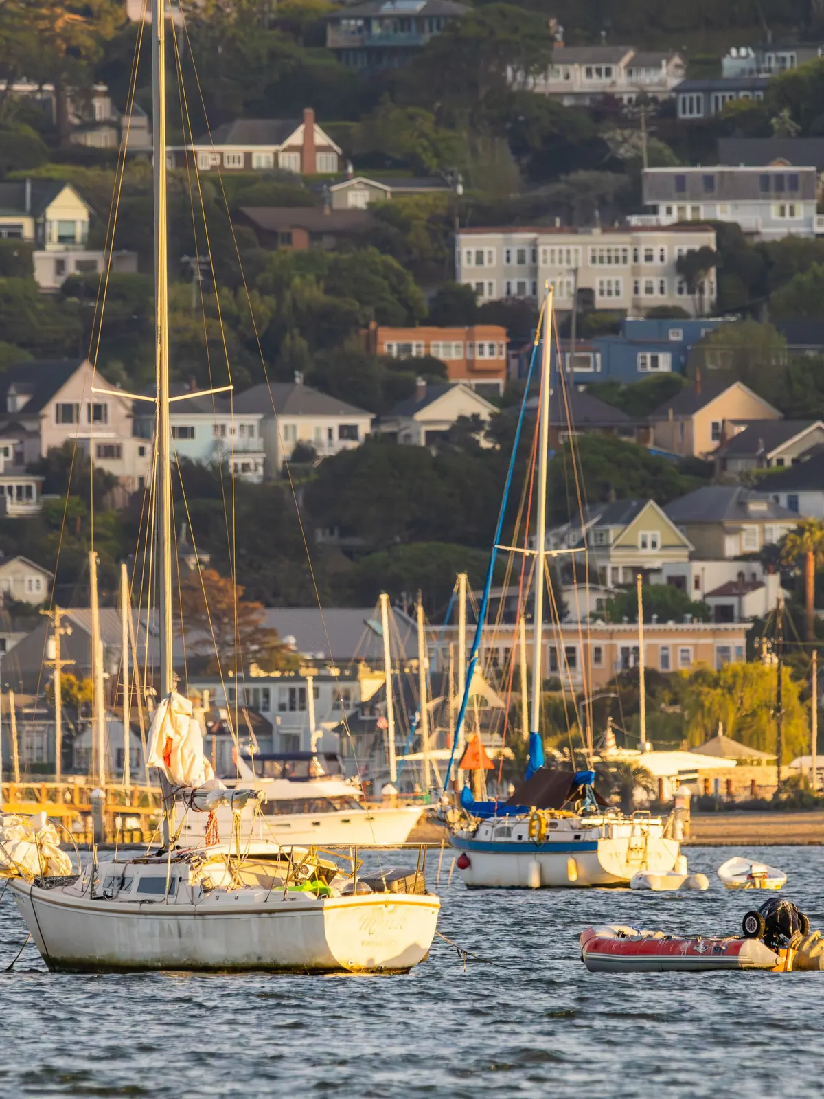 Harbor with sailboats and hillside houses