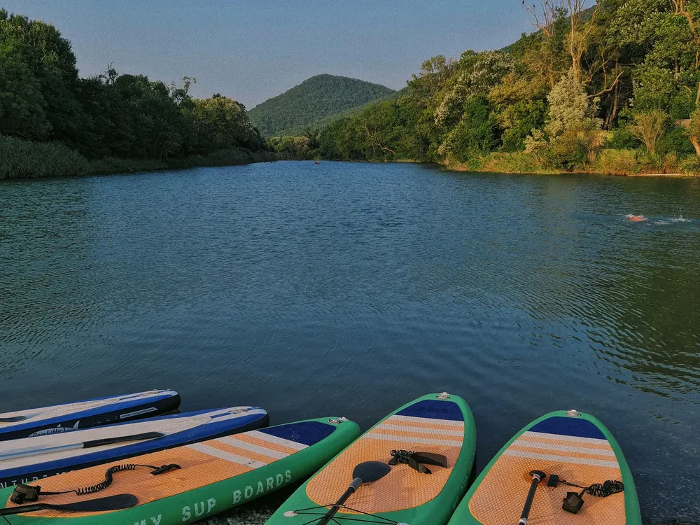 Paddleboards on a lakeshore