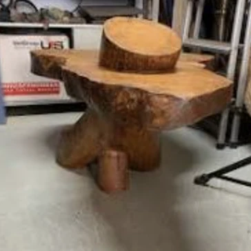 Tree-trunk side table