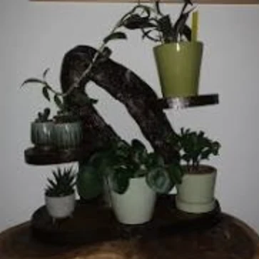 Plant stand