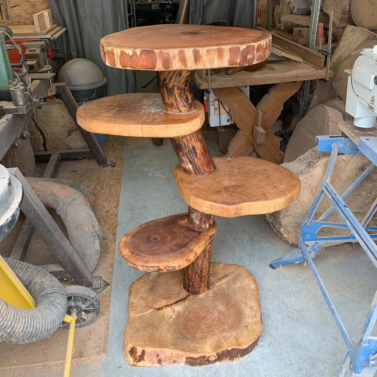 Tiered stand on a branch